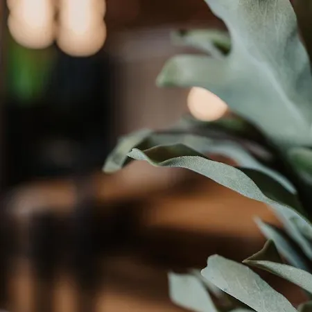 Apart-hotel The Matthew - Copper 4*