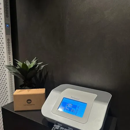 Aparthotel The Matthew - Copper